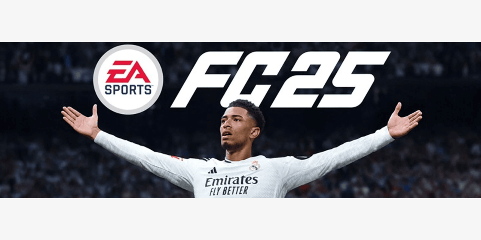 FIFA 25